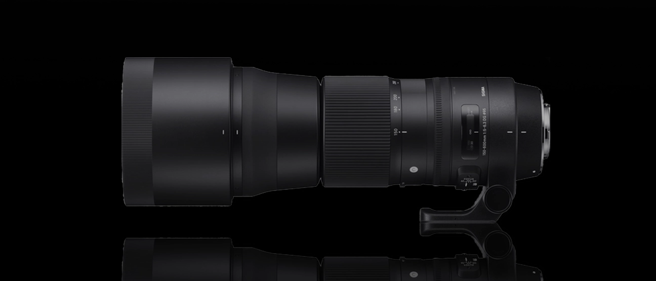 Sigma 150-600mm Contemporary Review