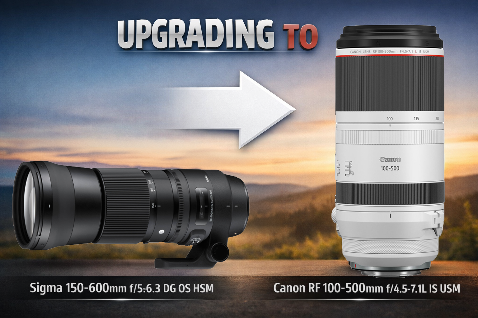 Upgrading My Wildlife Lens: From Sigma 150-600mm to Canon RF 100-500mm