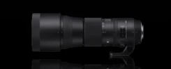 Sigma 150-600 contemporary lens