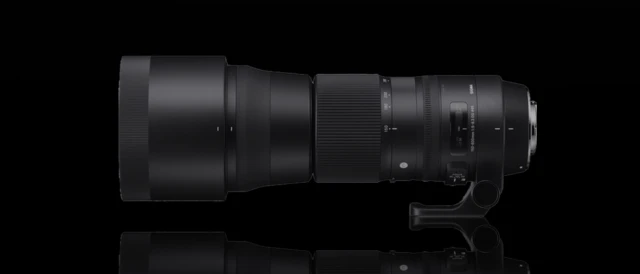 Sigma 150-600 contemporary lens